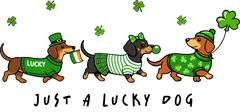 Lucky Dachshund Parade – St. Patrick’s Day Ready to Press DTF Transfer