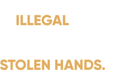 No One Is Illegal on Stolen Land Political Statement - Political Ready to Press DTF Transfers