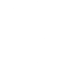 The Bride Club Summer Edition Bachelorette Beach Party Graphic – Summer Ready to Press DTF Transfer