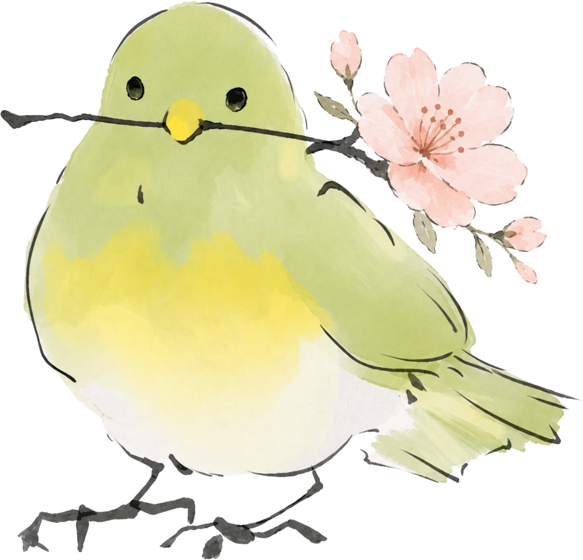 Watercolor Green Bird with Cherry Blossom Branch – Animals Ready to Press DTF Transfer