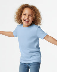 Toddler Heavy Cotton™ T-Shirt