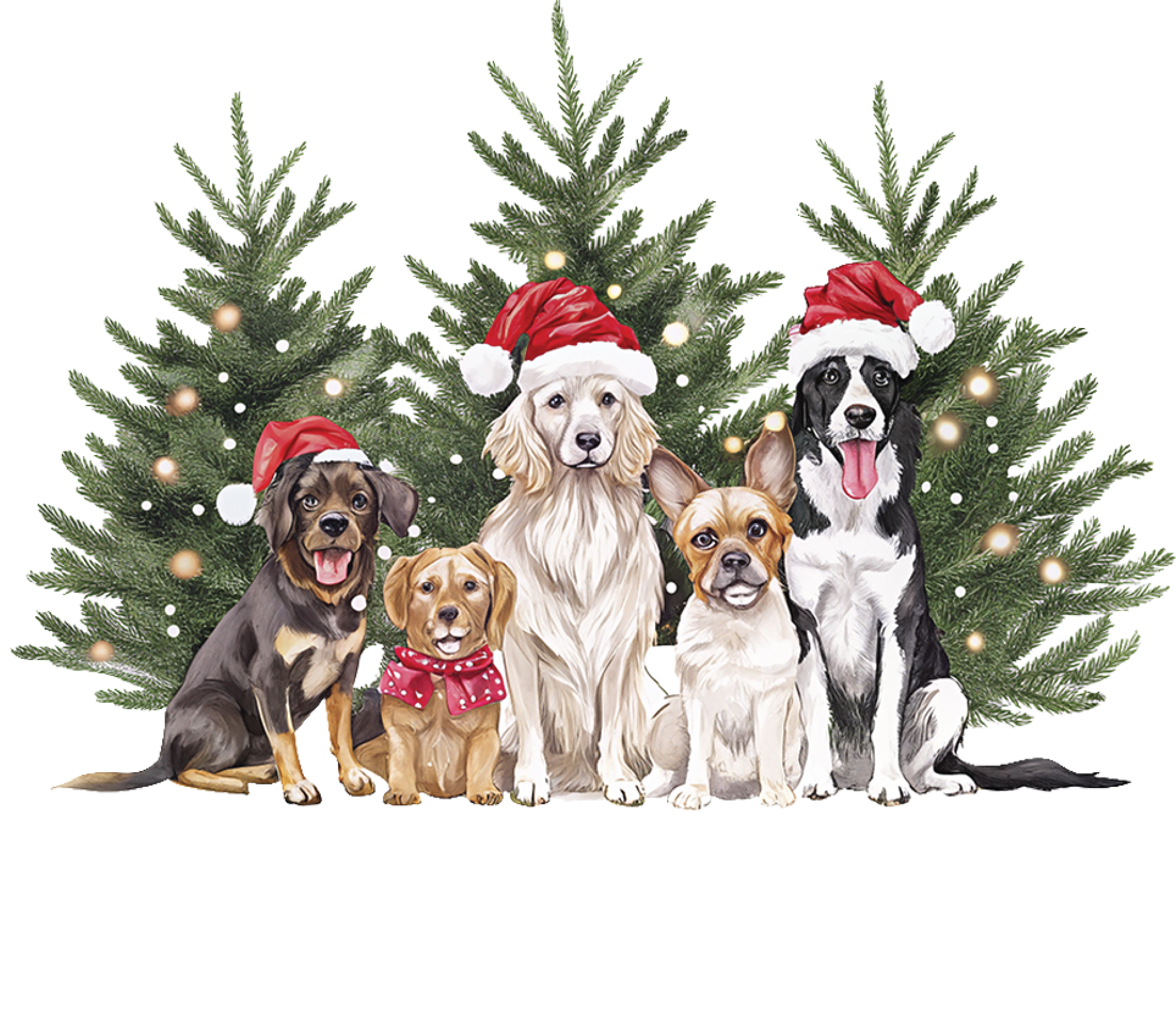 Merry Woofmas - Christmas Ready to Press DTF Transfer