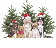 Merry Woofmas - Christmas Ready to Press DTF Transfer