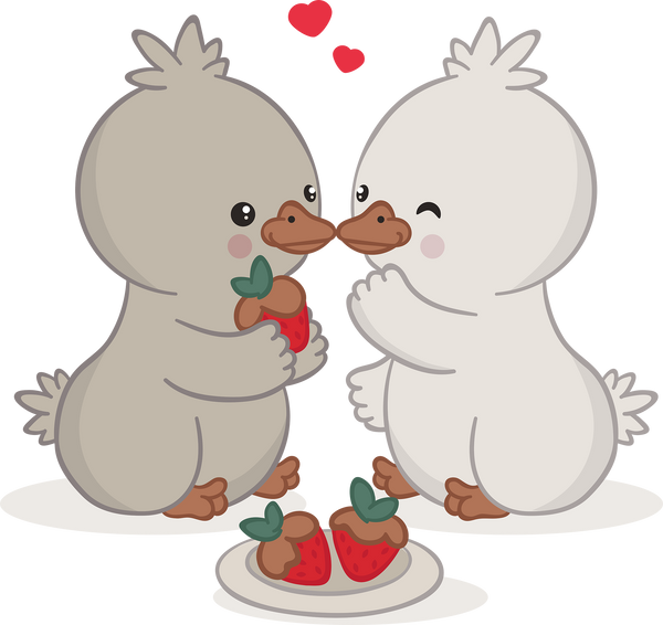 Valentine Day Lover Duck Eat Strawberry - Valentines Day Ready to Press DTF Transfer