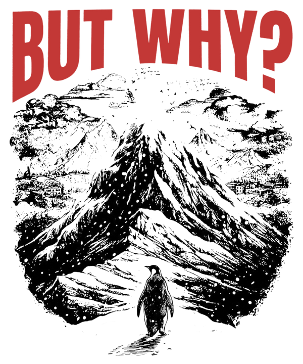 But Why Nihilist Quote Sarcastic Humor – Funny Ready to Press DTF Transfer