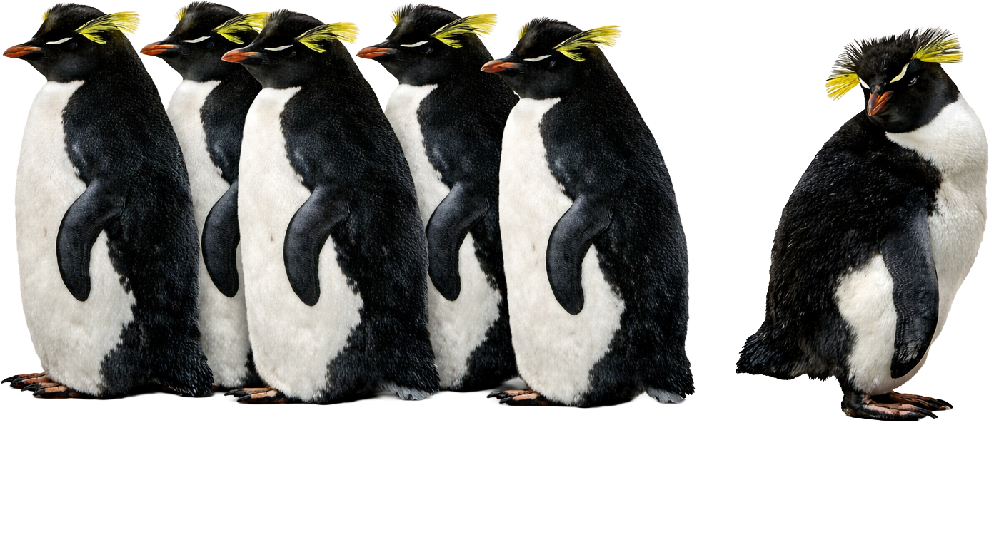 I Just Gotta Be Me Penguin Individuality Quote Graphic – Funny Ready to Press DTF Transfer