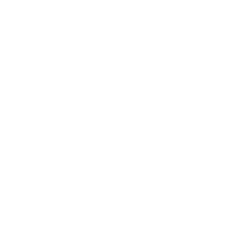 No One Is Illegal on Stolen Land - Political Ready to Press DTF Transfers
