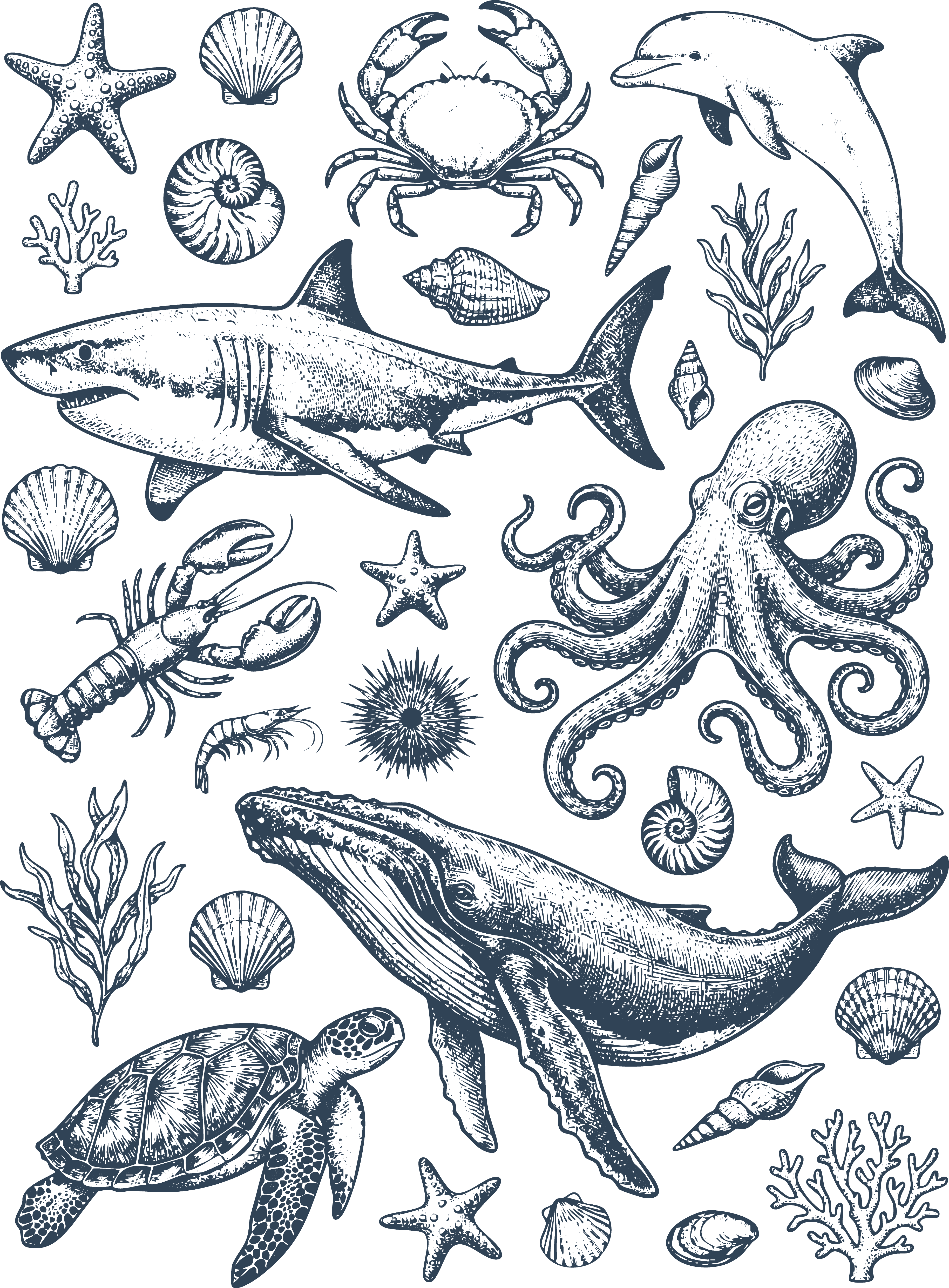 Vintage Marine Life Ocean Animals Shark Whale Octopus Sea Creatures Nautical Graphic – Summer Ready to Press DTF Transfer
