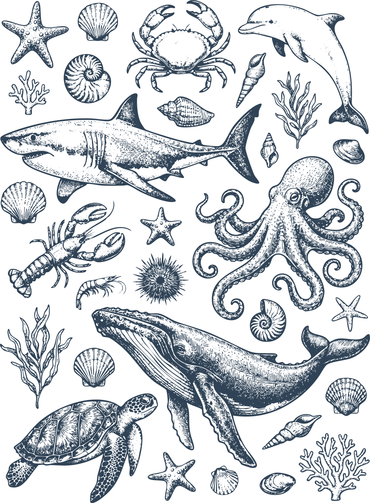 Vintage Marine Life Ocean Animals Shark Whale Octopus Sea Creatures Nautical Graphic – Summer Ready to Press DTF Transfer