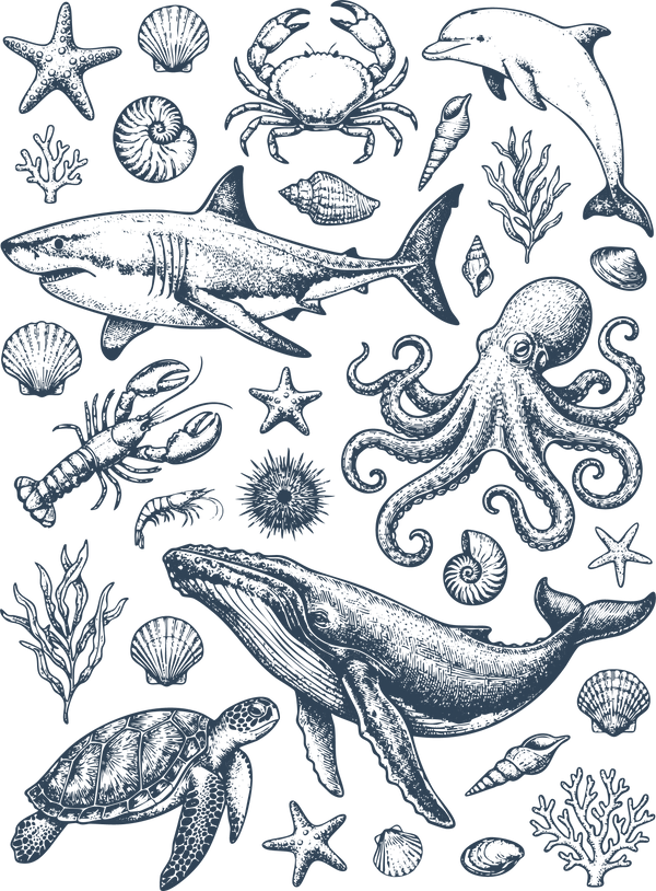 Vintage Marine Life Ocean Animals Shark Whale Octopus Sea Creatures Nautical Graphic – Summer Ready to Press DTF Transfer