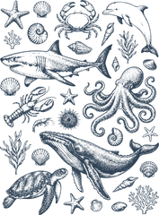 Vintage Marine Life Ocean Animals Shark Whale Octopus Sea Creatures Nautical Graphic – Summer Ready to Press DTF Transfer
