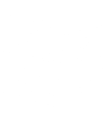 Sea Turtle Hibiscus Floral Tropical Ocean Graphic – Summer Ready to Press DTF Transfer