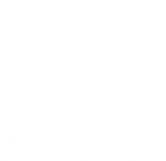 Jimothy Raccoon – Funny Ready to Press DTF Transfer