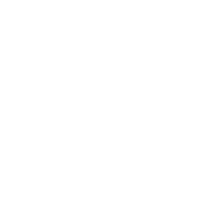 Respect The Locals Cryptids – Funny Ready to Press DTF Transfer