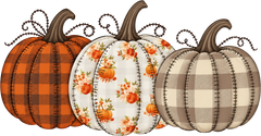 Triple Patterned Fall Pumpkins – Fall Ready to Press DTF Transfer