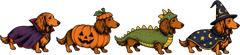 Dachshunds in Halloween Costumes – Halloween Ready to Press DTF Transfer