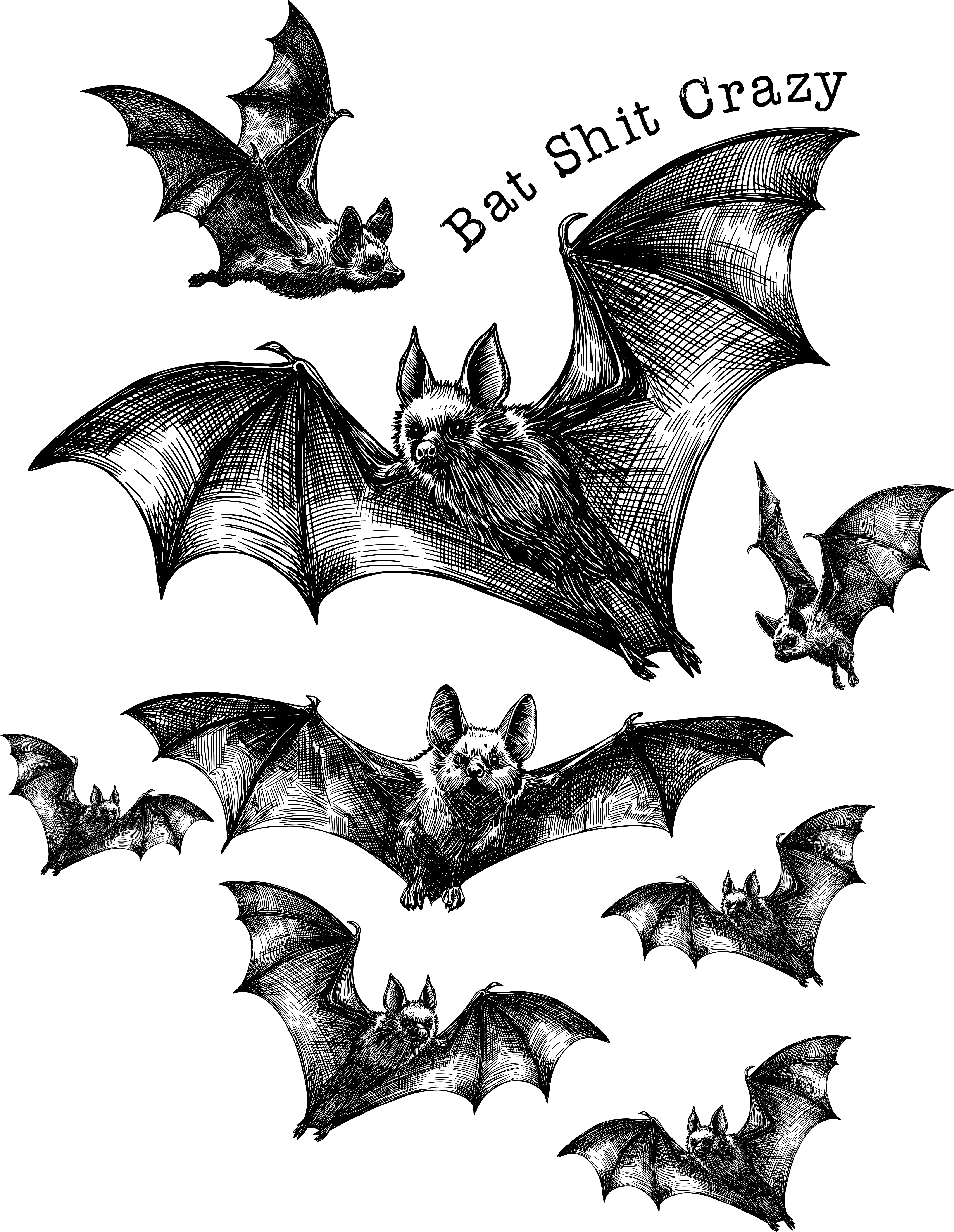 Bat Shit Crazy - Halloween Ready to Press DTF Transfer