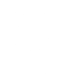 Bat Shit Crazy - Halloween Ready to Press DTF Transfer