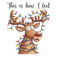 This Is How I Feel - Christmas Ready to Press DTF Transfer