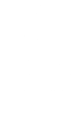 We Wish You Merry Christmas And A Happy New Year - Christmas Ready to Press DTF Transfer