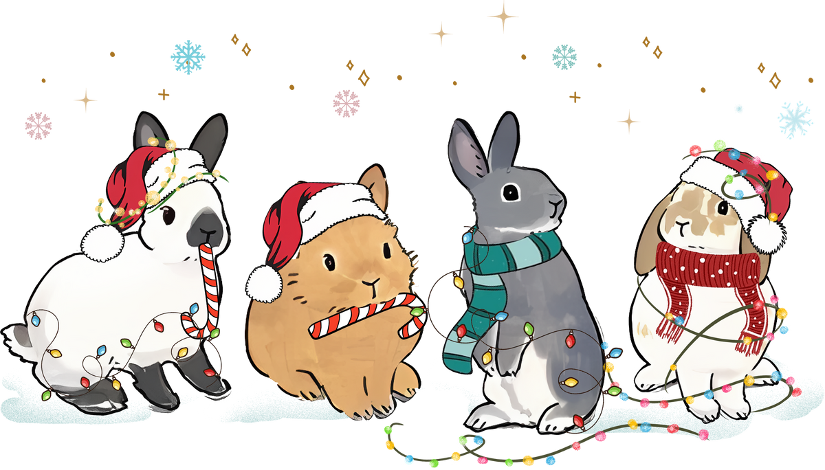 Christmas Rabbit - Christmas Ready to Press DTF Transfer