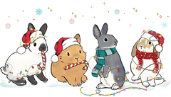 Christmas Rabbit - Christmas Ready to Press DTF Transfer