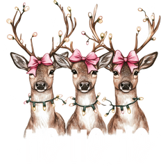 Christmas Reindeer Ho Ho Ho - Christmas Ready to Press DTF Transfer