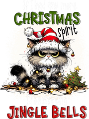 If I Had Any More Christmas Spirit - Christmas Ready to Press DTF Transfer