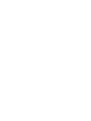 Merry Catmas - Christmas Ready to Press DTF Transfer