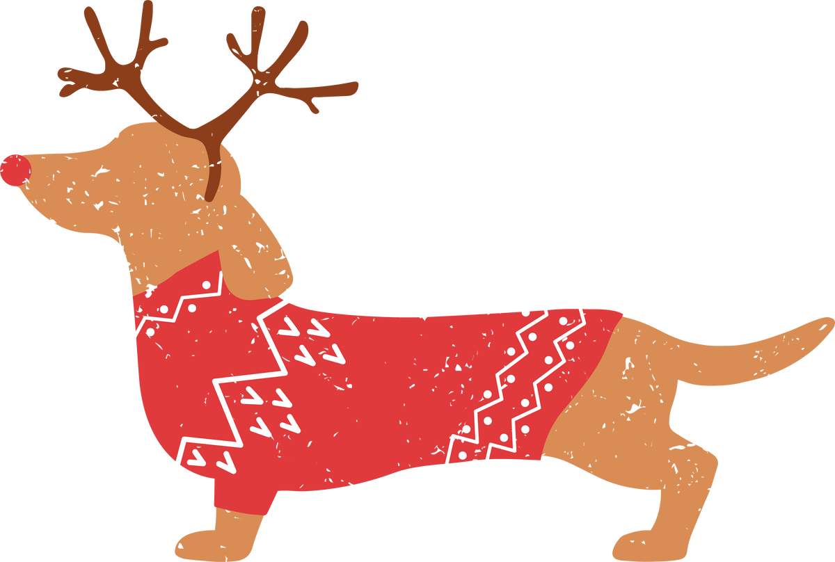 Dachshund Dog - Christmas Ready to Press DTF Transfer