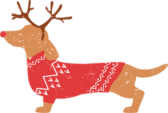 Dachshund Dog - Christmas Ready to Press DTF Transfer