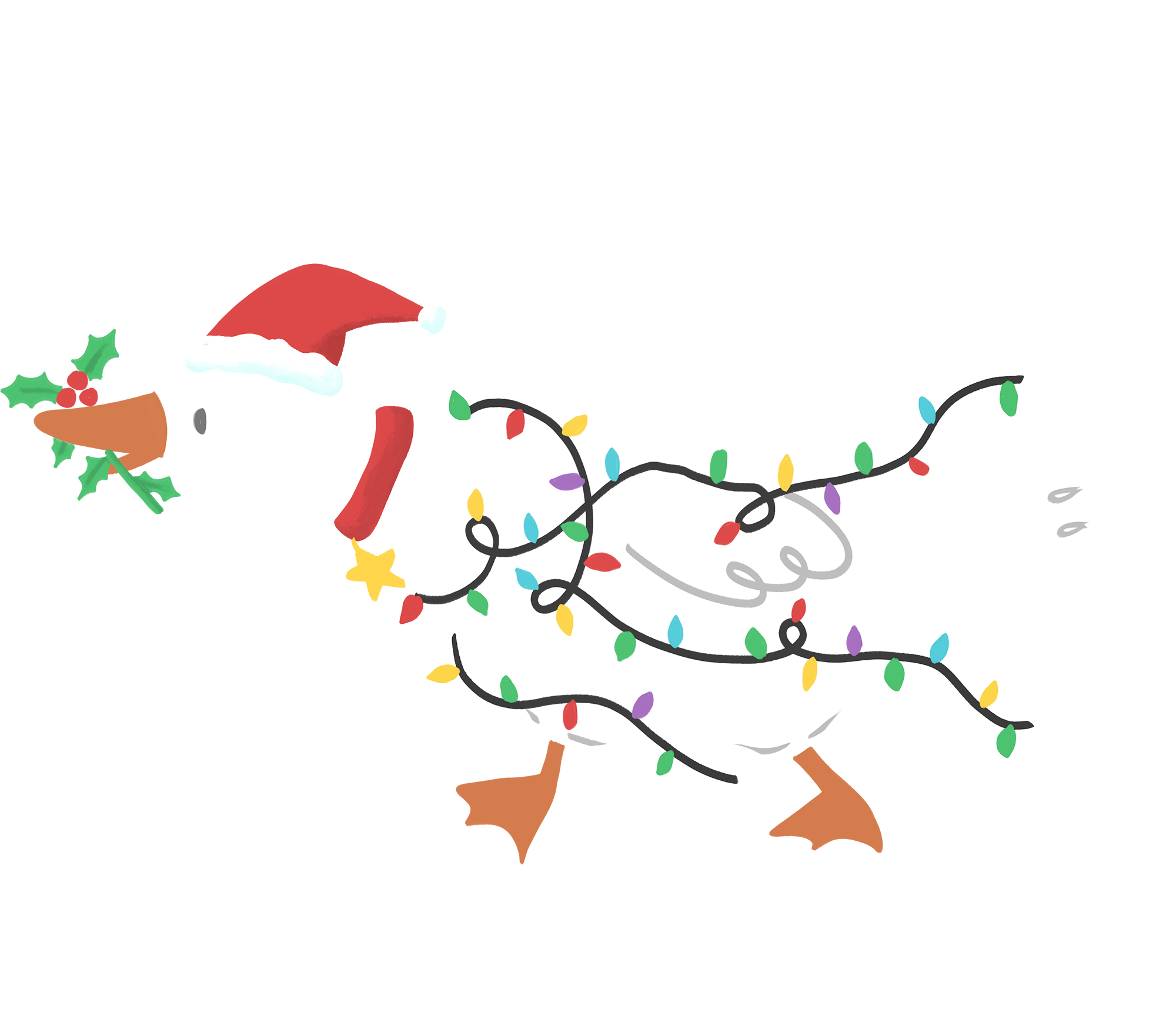 Festive Goose On The Loose - Christmas Ready to Press DTF Transfer