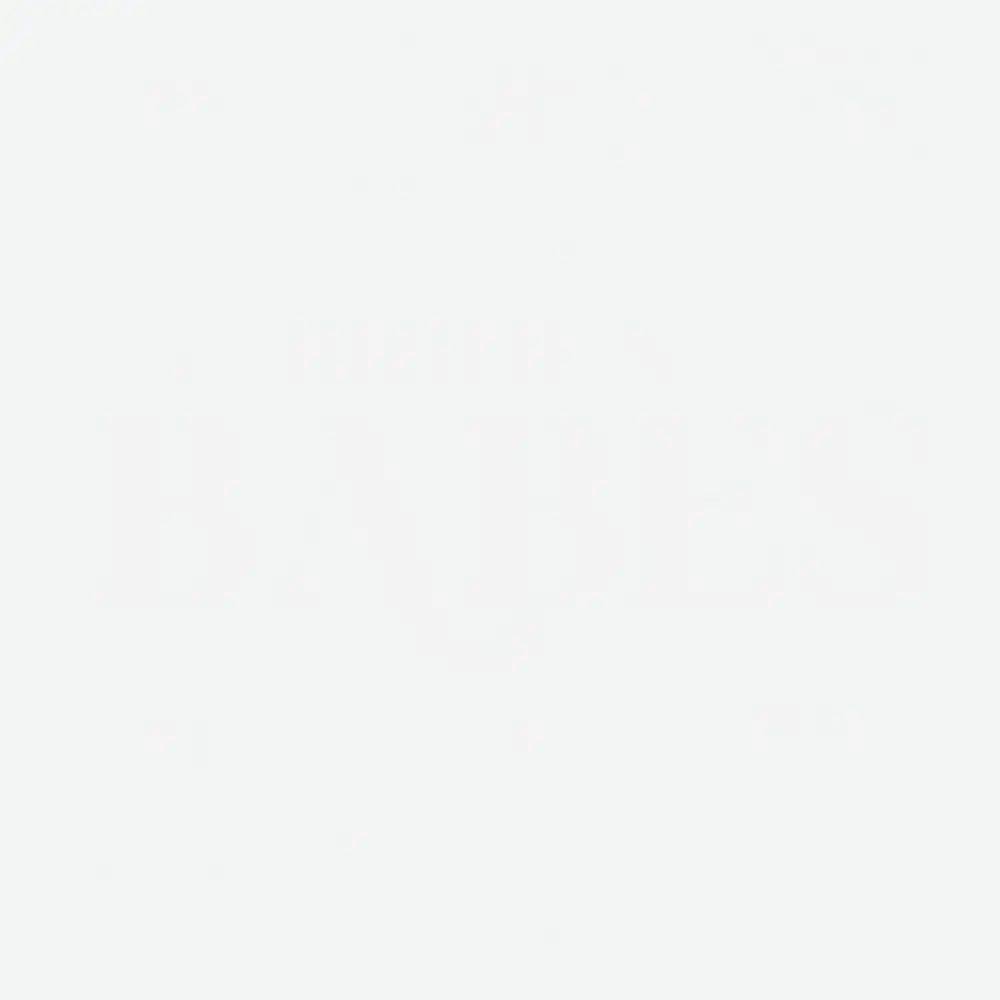 Bride’s Babes Bachelorette Ready to Press DTF Transfer