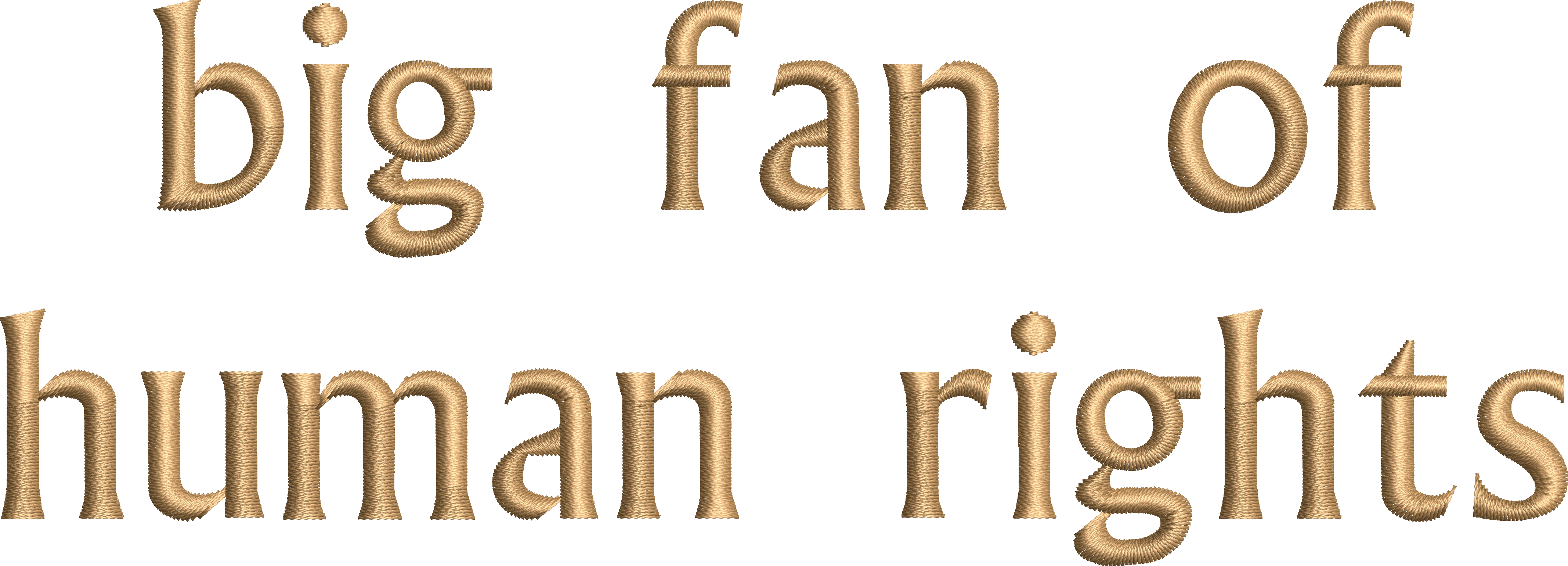 Big Fan Of Human Rights - Embroidery Design