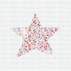 Floral Star 4th of July Ready to Press DTF Transfer