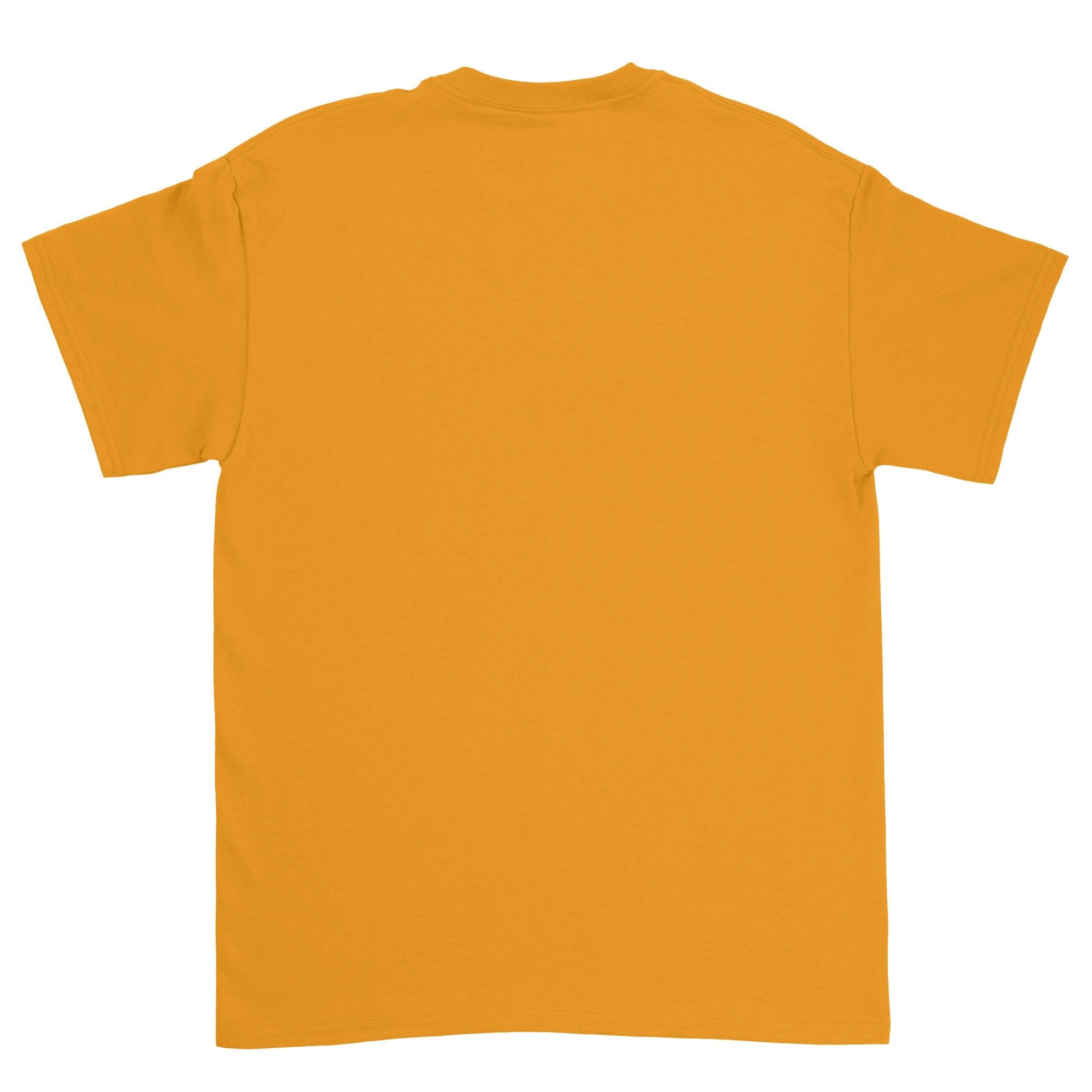 Heavy Cotton Adult T-Shirt
