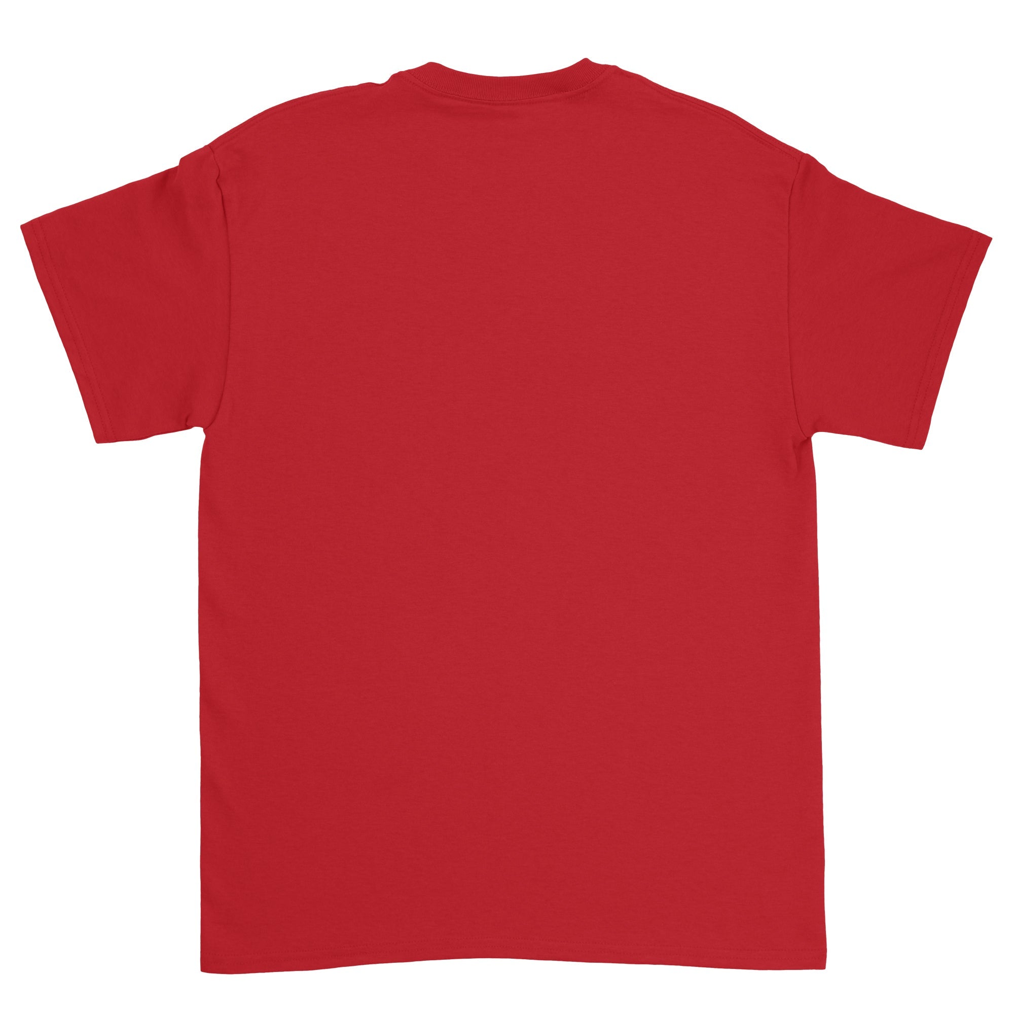 Heavy Cotton Adult T-Shirt