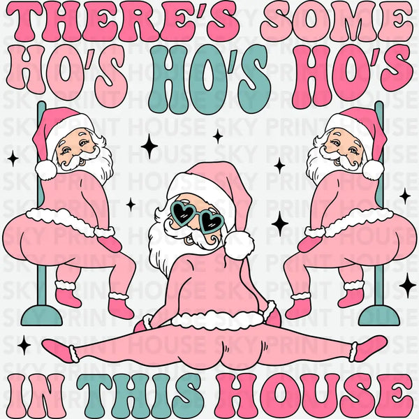 There's Some Ho's Ho's Ho's In This House - Christmas Ready to Press DTF Transfer